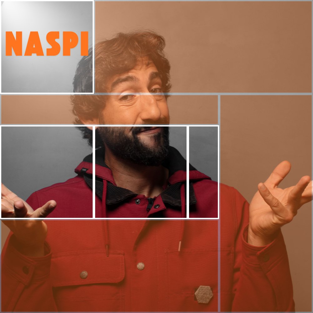 NASPI